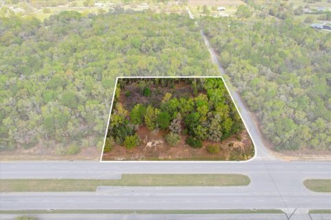 Propiedad comercial en venta en Hernando, Florida № 2106045 - foto 6