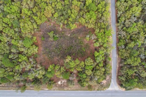Propiedad comercial en venta en Hernando, Florida № 2106045 - foto 24