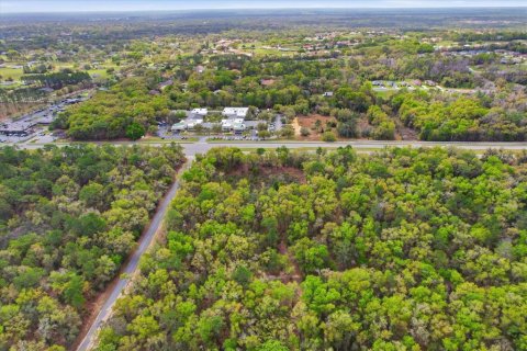 Propiedad comercial en venta en Hernando, Florida № 2106045 - foto 28