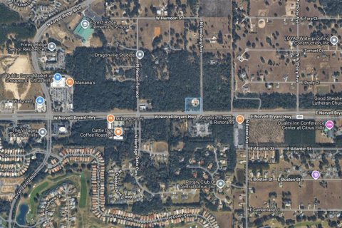 Propiedad comercial en venta en Hernando, Florida № 2106045 - foto 2