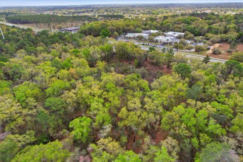 Propiedad comercial en venta en Hernando, Florida № 2106045 - foto 9
