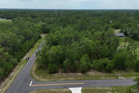 Terrain à vendre à Ocala, Floride № 2221215 - photo 14