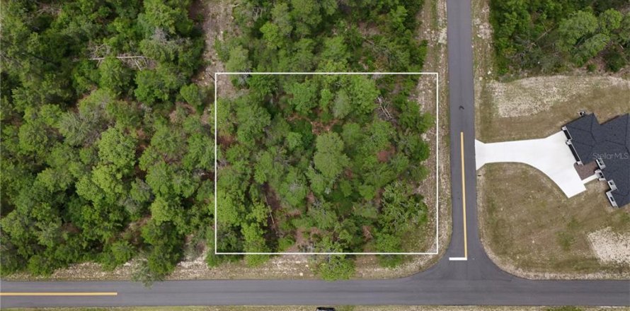 Terrain à Ocala, Floride № 2221215