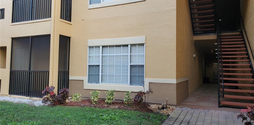 Condo à Tampa, Floride, 1 chambre  № 1808373