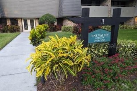 Condo à Palm Harbor, Floride, 1 chambre  № 2103180