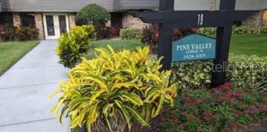 Condo à Palm Harbor, Floride, 1 chambre  № 2103180