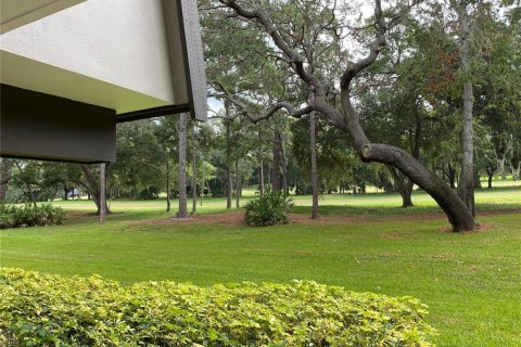 Copropriété à louer à Palm Harbor, Floride: 1 chambre, 76.64 m2 № 2103180 - photo 5