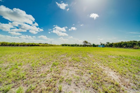 Appartement à louer à Miami-Dade, Floride: 2 chambres, 92.9 m2 № 1984889 - photo 3