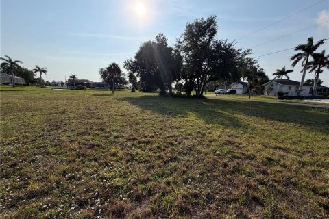 Land in Punta Gorda, Florida № 2166459 - photo 6