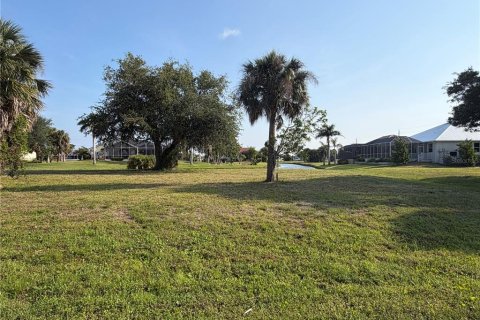 Land in Punta Gorda, Florida № 2166459 - photo 4