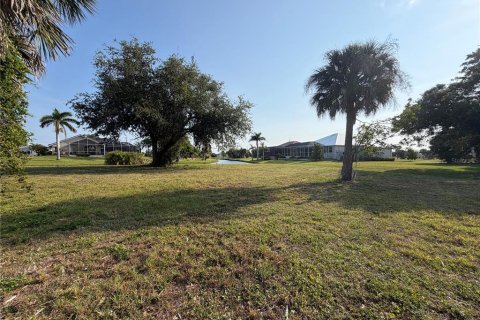 Land in Punta Gorda, Florida № 2166459 - photo 3
