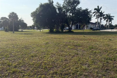 Land in Punta Gorda, Florida № 2166459 - photo 5
