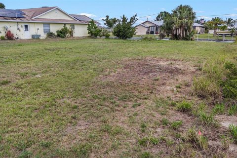 Land in Punta Gorda, Florida № 1191918 - photo 4