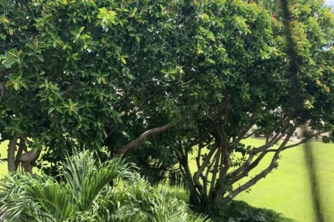 Copropriété à louer à Boynton Beach, Floride: 2 chambres, 91.23 m2 № 2259864 - photo 12