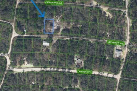 Land in Lake Placid, Florida № 2161588 - photo 2