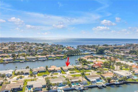 Villa ou maison à vendre à Saint Petersburg, Floride: 4 chambres, 232.16 m2 № 2140619 - photo 3