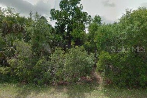 Land in Port Charlotte, Florida № 2160560