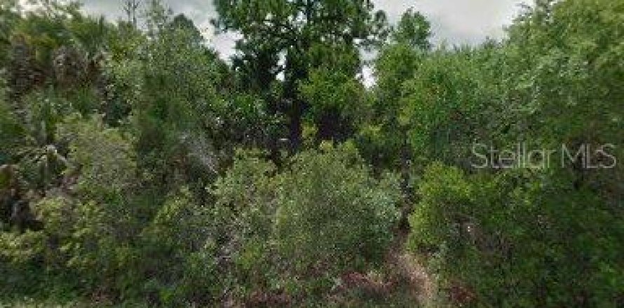 Land in Port Charlotte, Florida № 2160560