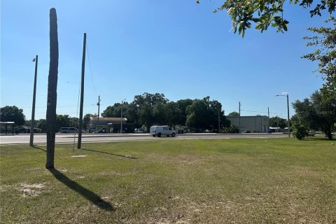 Land in Tampa, Florida № 1147866 - photo 4