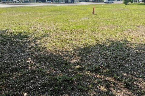 Land in Tampa, Florida № 1147866 - photo 5