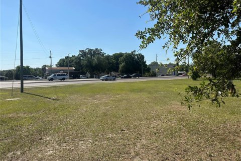 Land in Tampa, Florida № 1147866 - photo 1