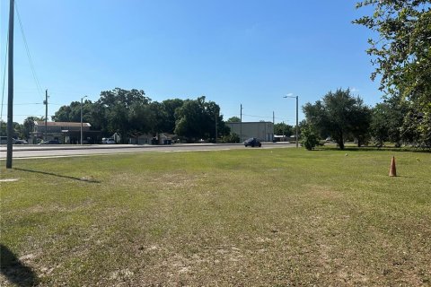 Land in Tampa, Florida № 1147866 - photo 2