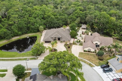 House in New Port Richey, Florida 4 bedrooms, 315.22 sq.m. № 1767976 - photo 19