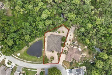 House in New Port Richey, Florida 4 bedrooms, 315.22 sq.m. № 1767976 - photo 4