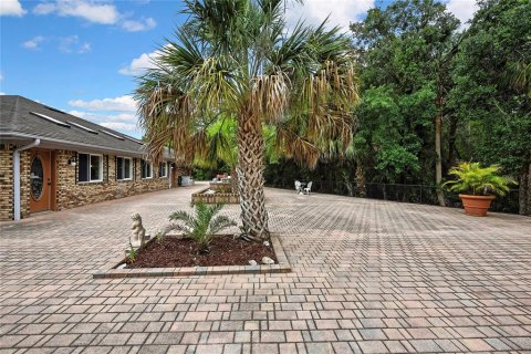 House in New Port Richey, Florida 4 bedrooms, 315.22 sq.m. № 1767976 - photo 13