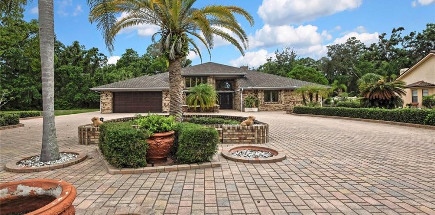 House in New Port Richey, Florida 4 bedrooms, 315.22 sq.m. № 1767976