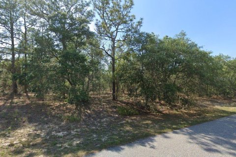 Land in Citrus Springs, Florida № 2162946 - photo 2