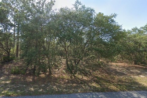Land in Citrus Springs, Florida № 2162946 - photo 3
