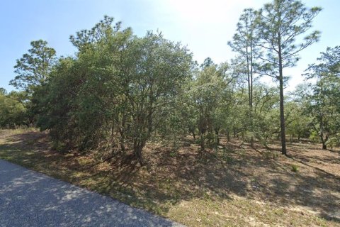 Land in Citrus Springs, Florida № 2162946
