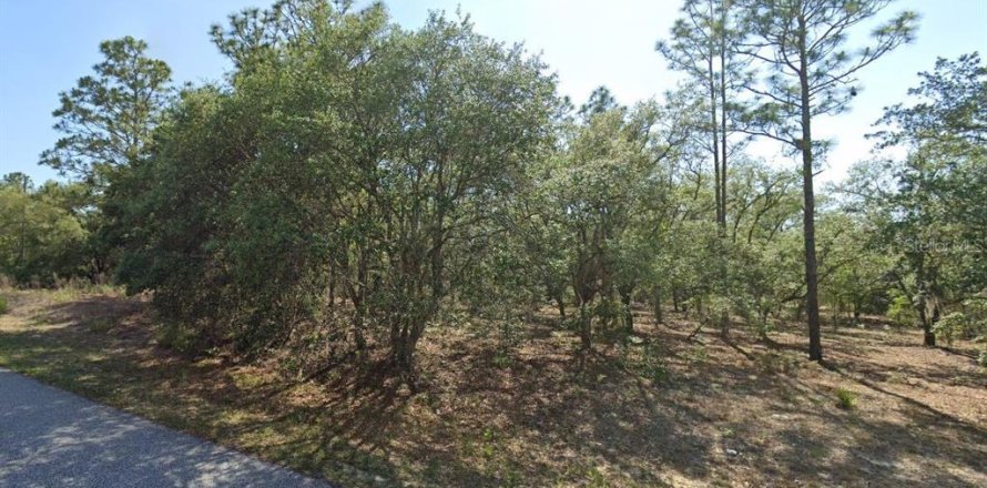 Land in Citrus Springs, Florida № 2162946