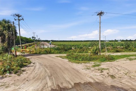Купить коммерческую недвижимость в Иммокали, Флорида № 2233679 - фото 26