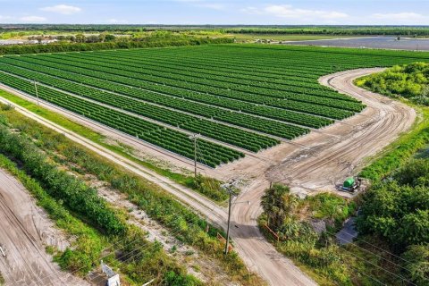 Купить коммерческую недвижимость в Иммокали, Флорида № 2233679 - фото 23