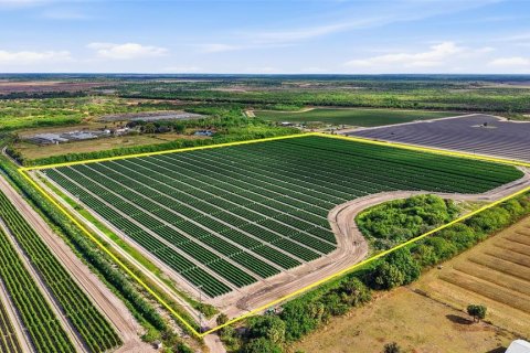 Купить коммерческую недвижимость в Иммокали, Флорида № 2233679 - фото 2