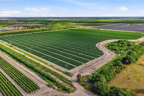Купить коммерческую недвижимость в Иммокали, Флорида № 2233679 - фото 20