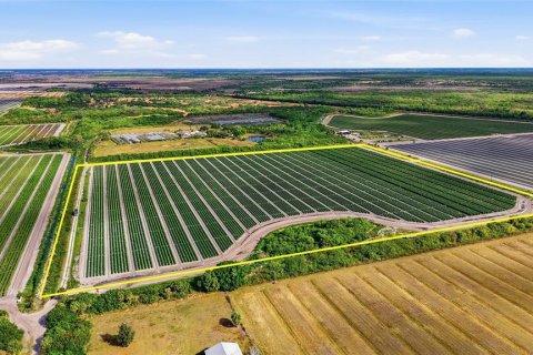 Купить коммерческую недвижимость в Иммокали, Флорида № 2233679 - фото 12