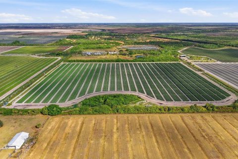 Купить коммерческую недвижимость в Иммокали, Флорида № 2233679 - фото 16