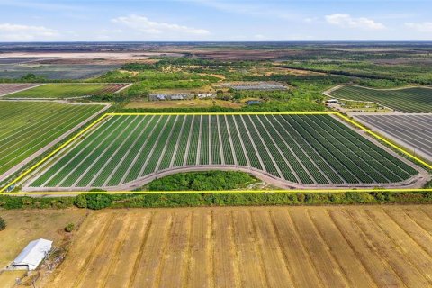 Купить коммерческую недвижимость в Иммокали, Флорида № 2233679 - фото 13