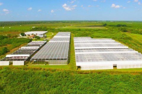 Купить коммерческую недвижимость в Иммокали, Флорида № 2233679 - фото 4