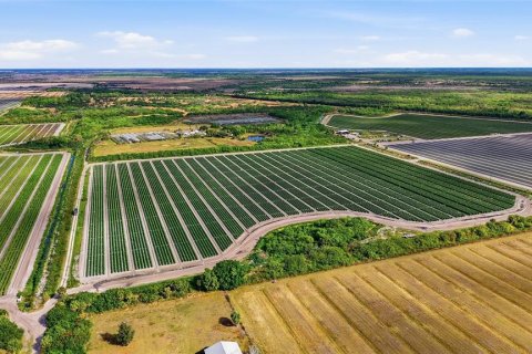 Купить коммерческую недвижимость в Иммокали, Флорида № 2233679 - фото 15