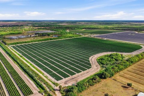 Купить коммерческую недвижимость в Иммокали, Флорида № 2233679 - фото 14