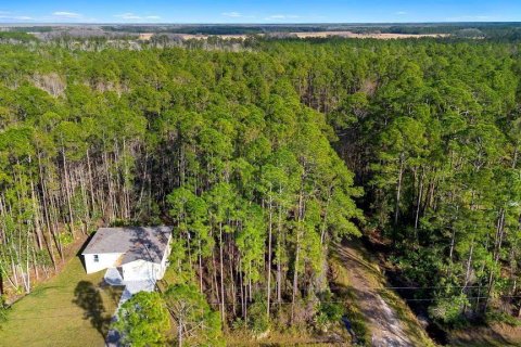 Land in DeLand, Florida № 2159049 - photo 4