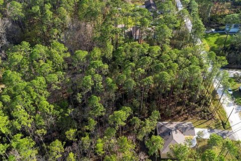 Land in DeLand, Florida № 2159049 - photo 5