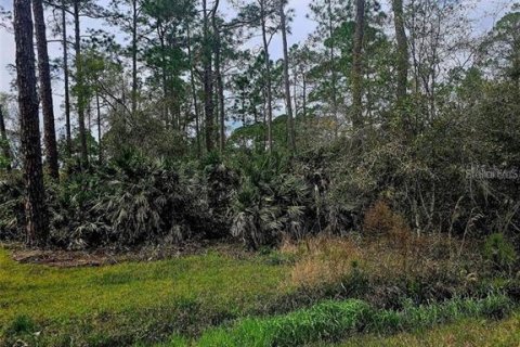 Land in DeLand, Florida № 2159049 - photo 3