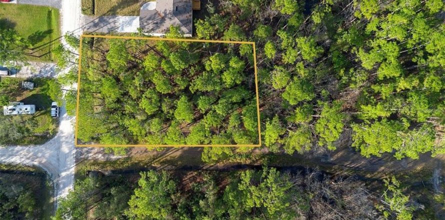 Land in DeLand, Florida № 2159049