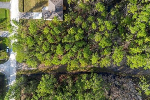 Land in DeLand, Florida № 2159049 - photo 2