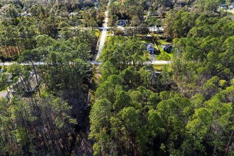 Land in DeLand, Florida № 2159049 - photo 6